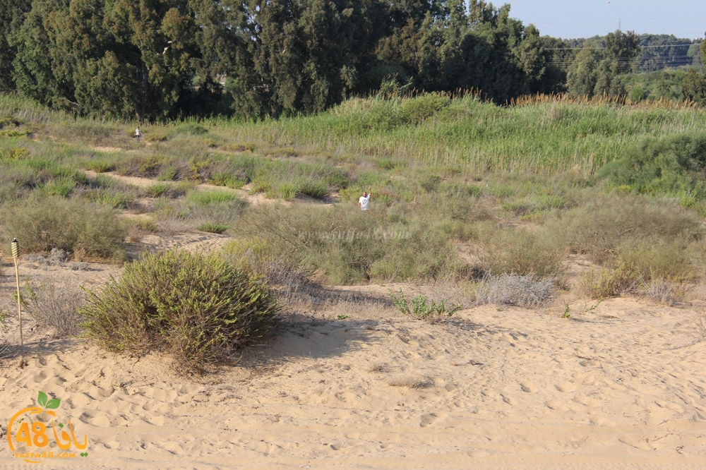 mokhayam picrtyere (85).jpeg